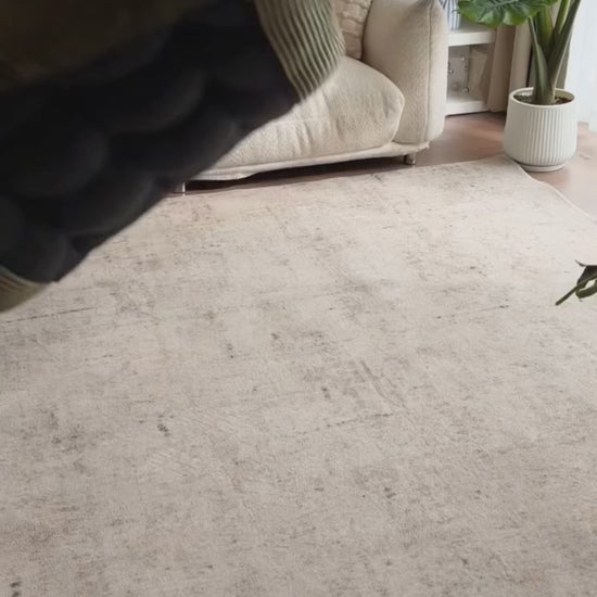 Florvya editorial video